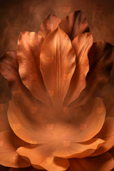 Copper Bloom Majesty Backdrop