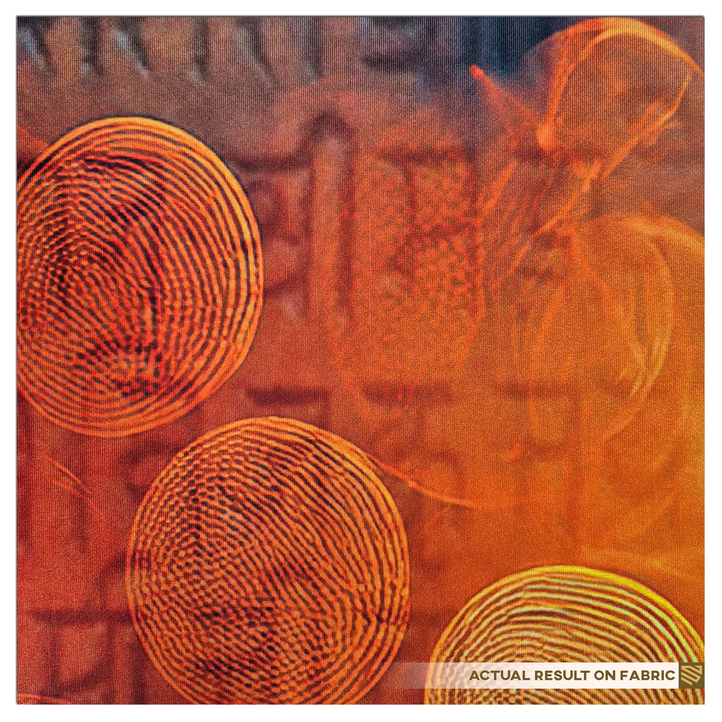 Divine Light of Scriptures