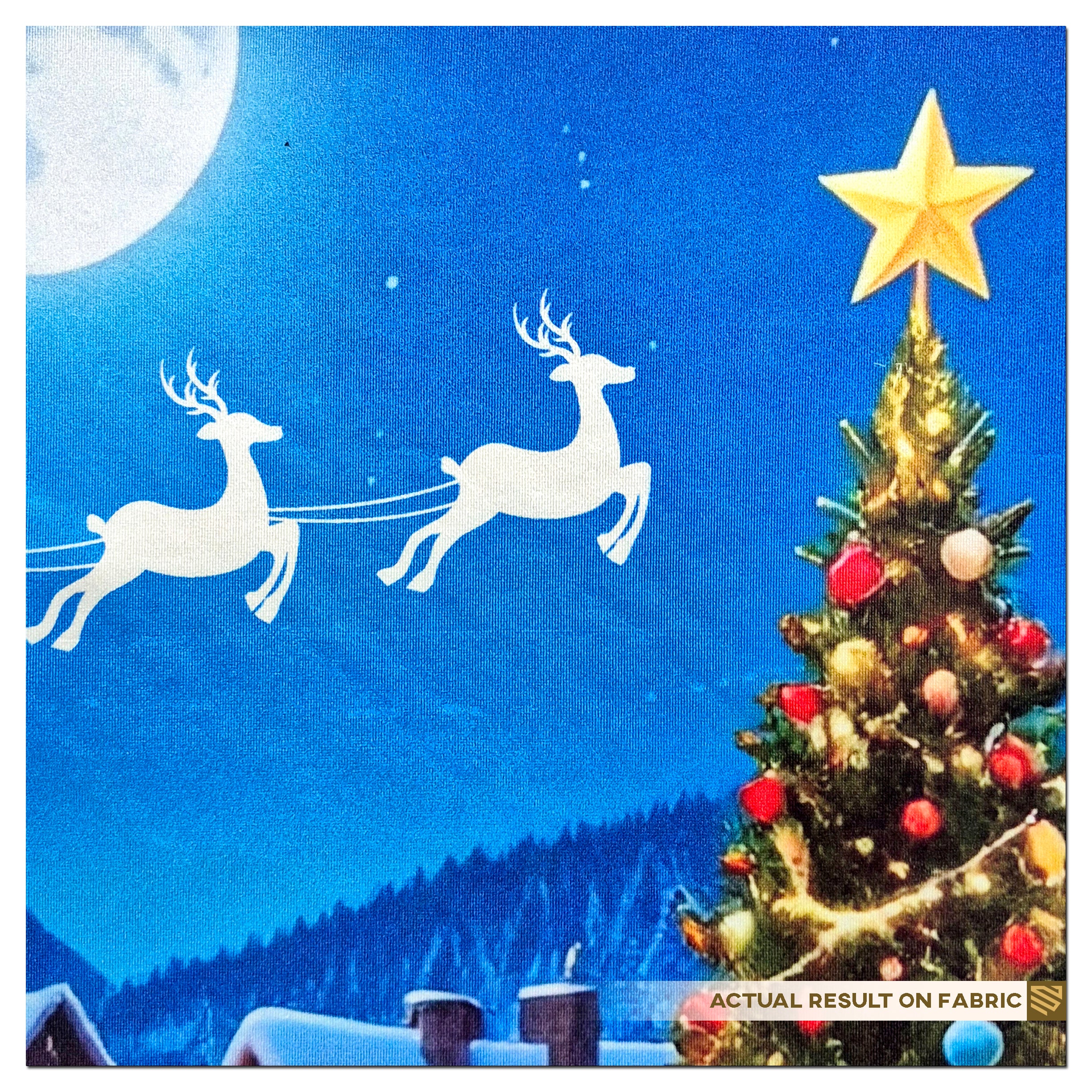 Moonlit Christmas Village