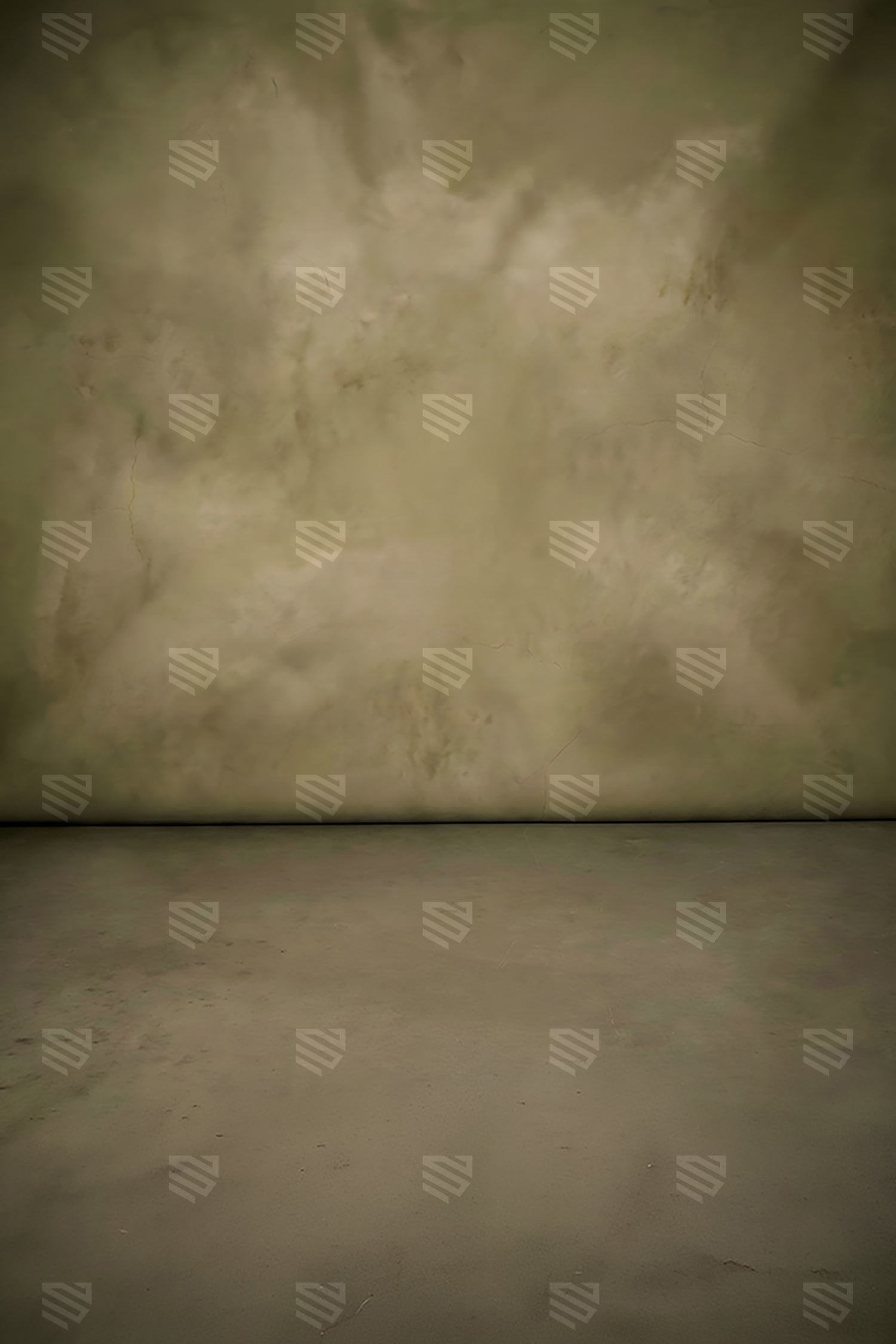 Olive Vintage Textured Studio