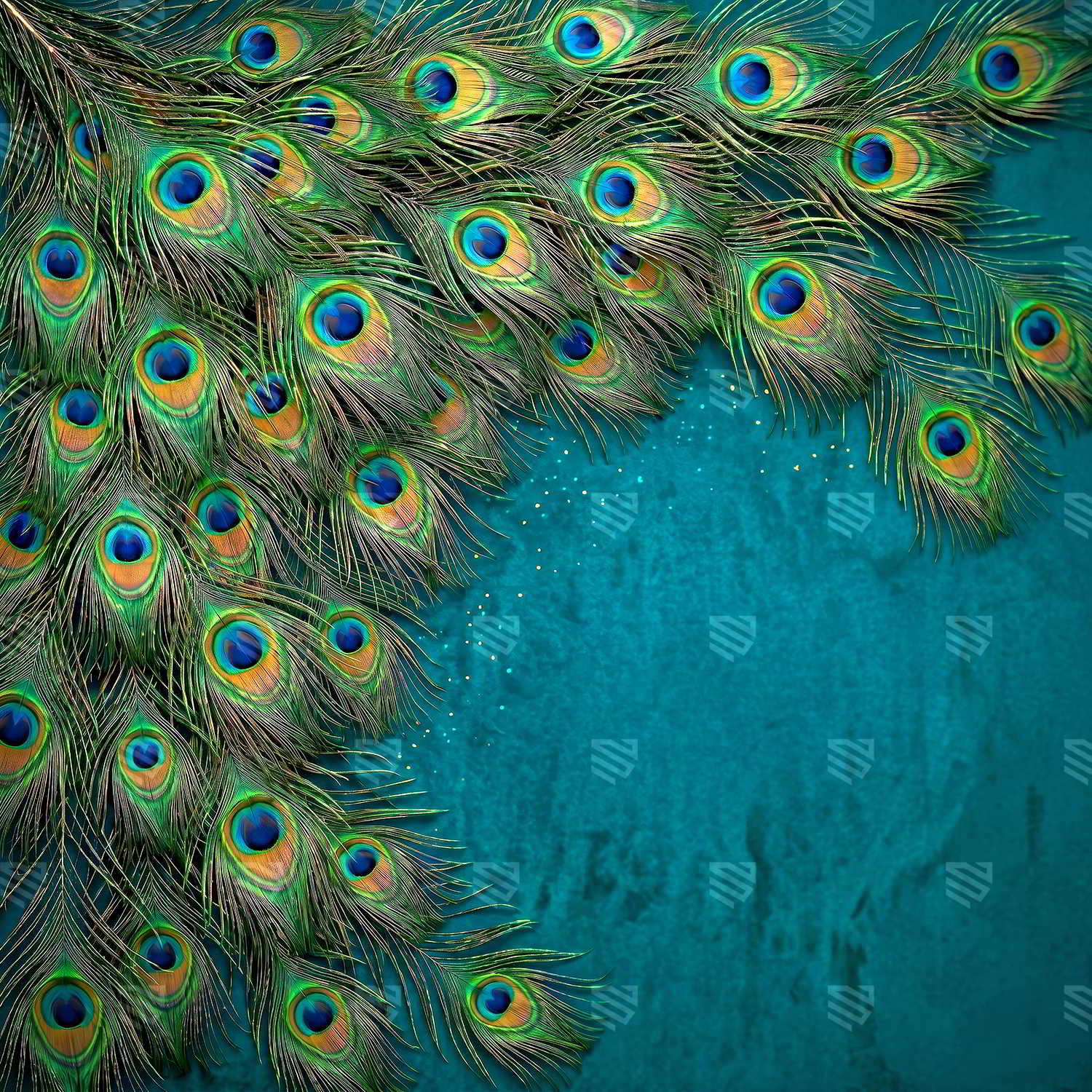 Peacock Feather Cascade