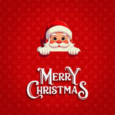Playful Santa Greetings Backdrop