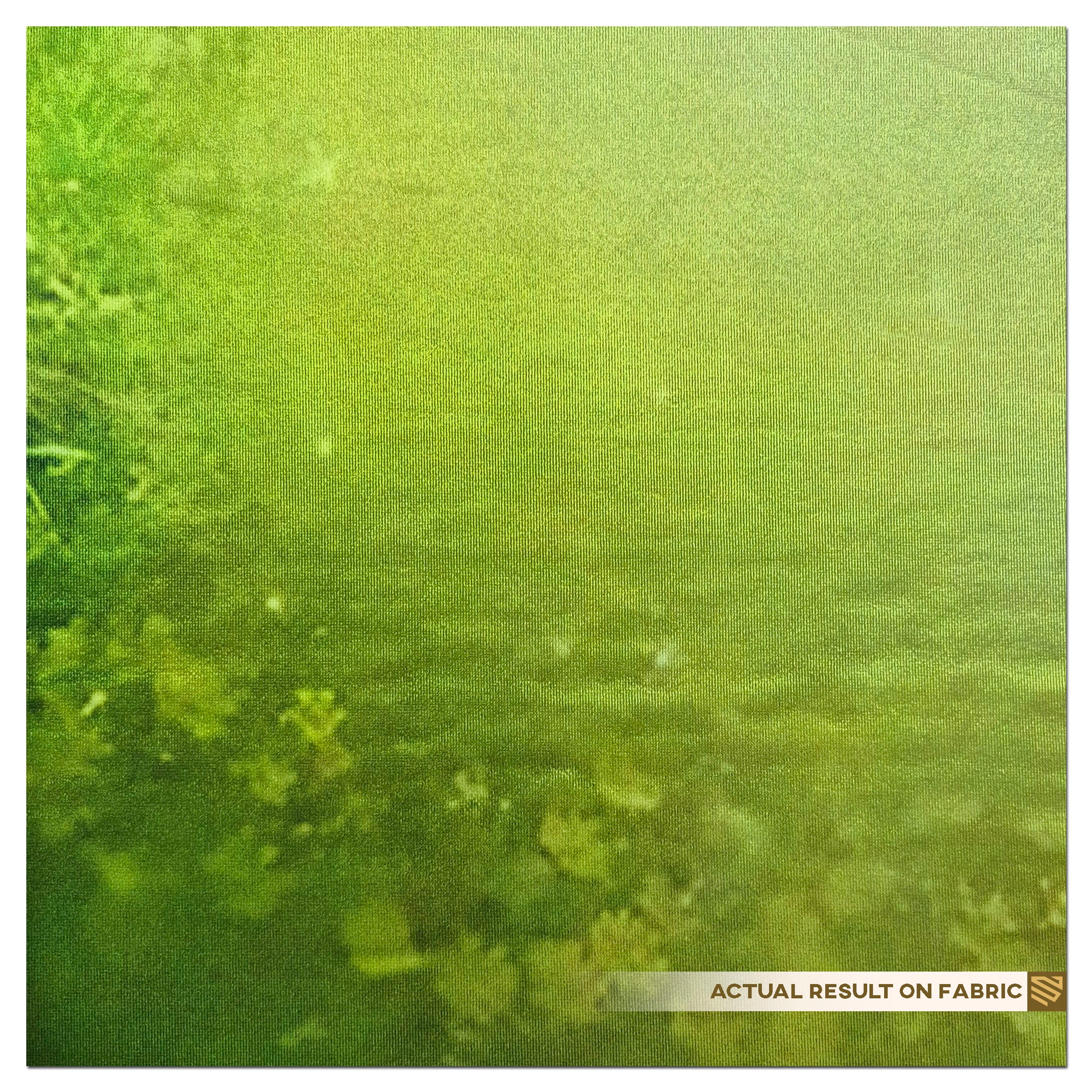 Prakriti Ka Jaadu Bhara Dwaar