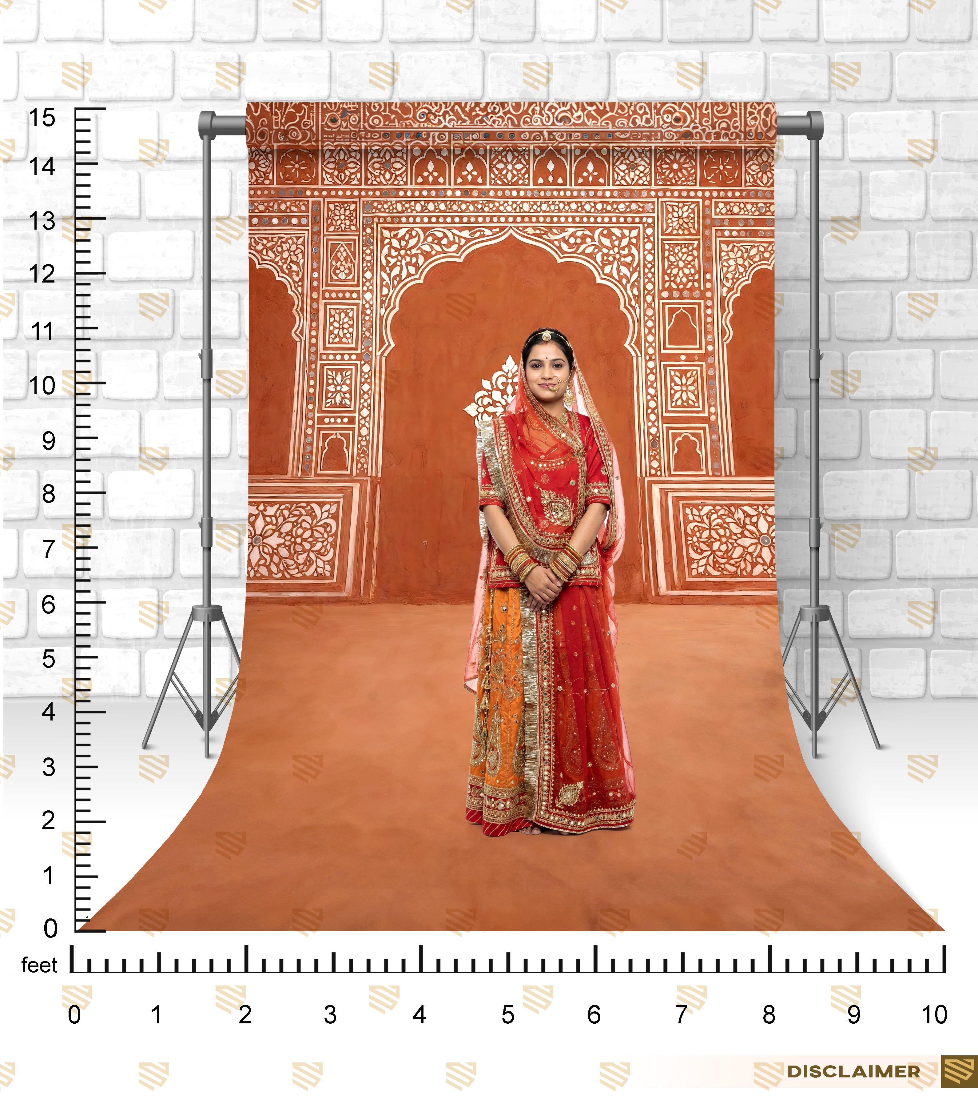 Rajasthani Heritage Wall Art