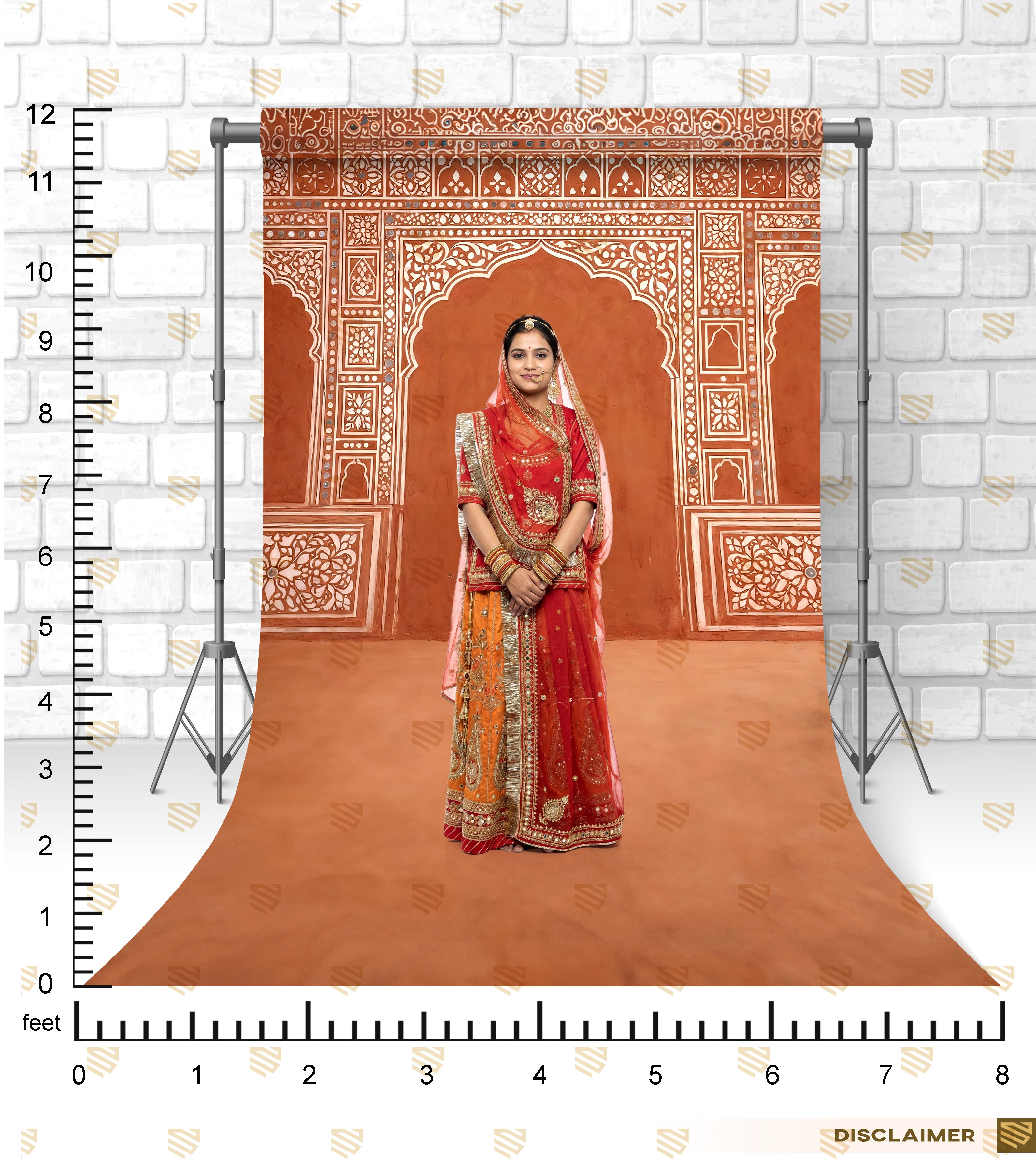 Rajasthani Heritage Wall Art