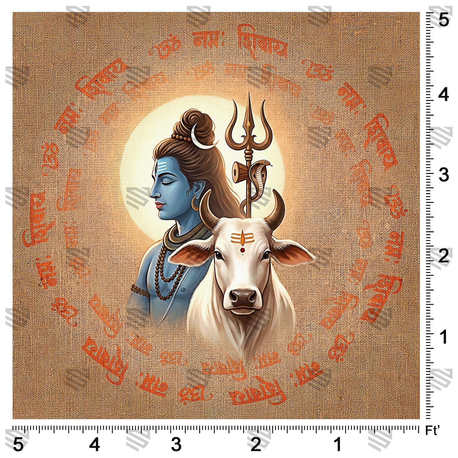 Shiva Nandi Mantra Aura