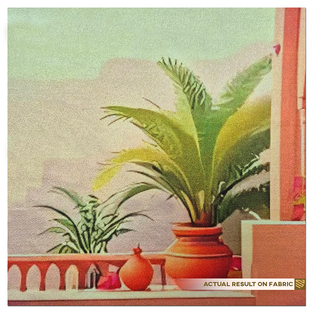 Elegant Courtyard of a Royal Haveli