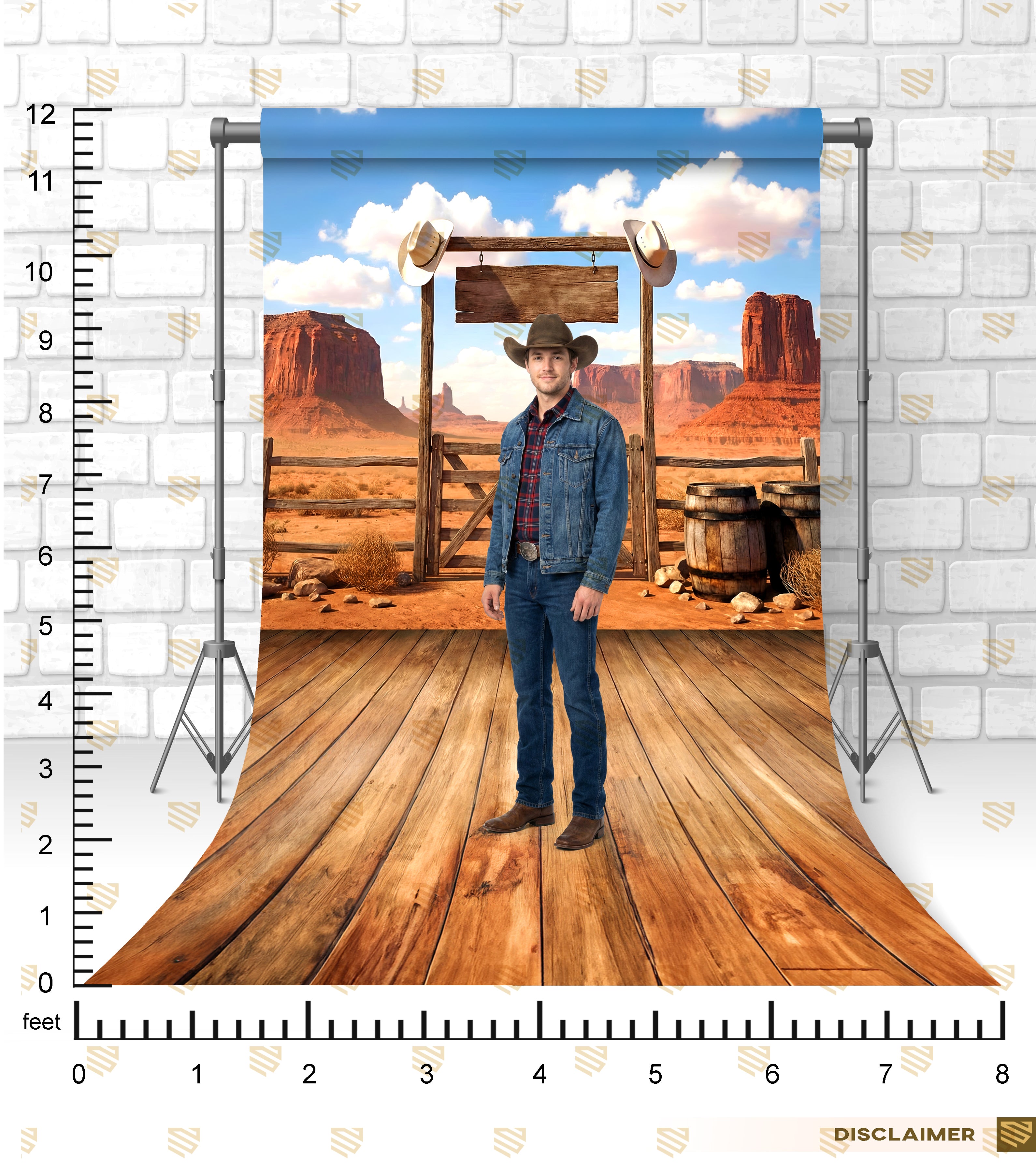 Wild West Frontier Gate