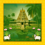 Divya Mandir Darshan Backdrop