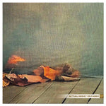 Autumn Garden Background Backdrop