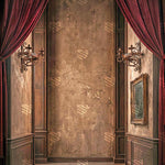 Burgundy Velvet Passage Photography Backdrop
