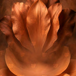 Copper Bloom Majesty Backdrop