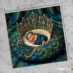 Emerald Feather Throne Newborn Baby Photography Backdrop