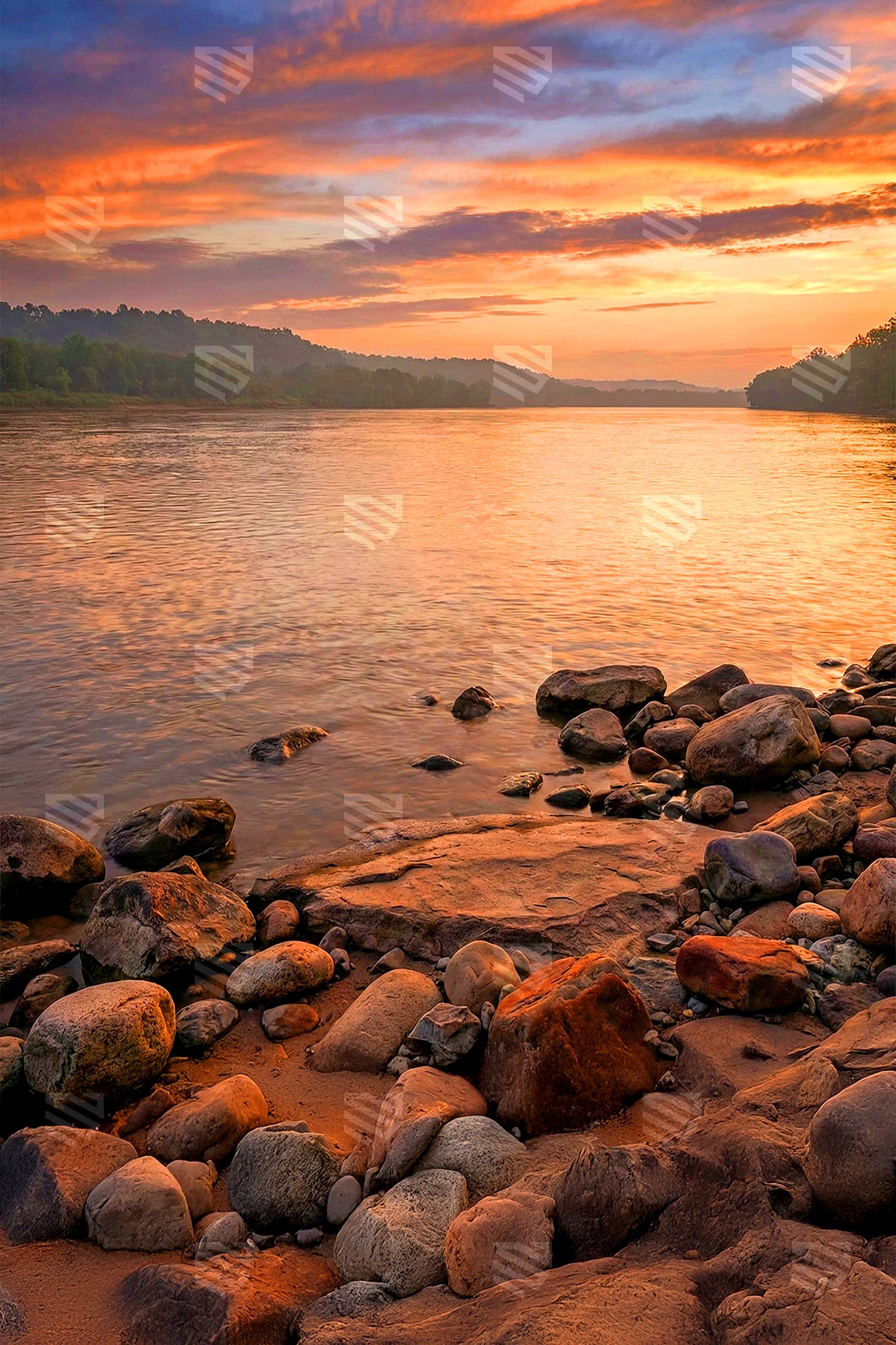 Golden Sunset Riverbank - Maternity Backdrop