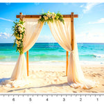 Ocean View Baby Backdrop
