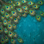 Peacock Feather Cascade Newborn Baby Photography Backdrop
