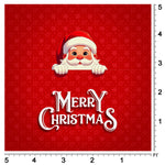 Christmas Santa Backdrop