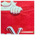 Festive Santa Background