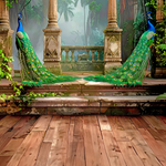 Peacock Arch Backdrop
