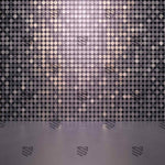 Silver Shimmer Grid Photography