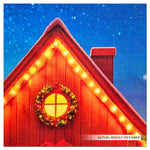 Christmas Night Scene