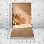 Sunlit Neutral Backdrop