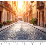 Charming Street Background Backdrop