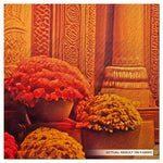 Sacred Temple Archway Backdrop