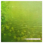 Nature Magic Gateway Backdrop