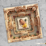 Vrindavan Palace Courtyard Newborn Baby Photography Backdrop